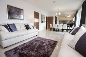 chestnut shadwell 48 sm.jpg